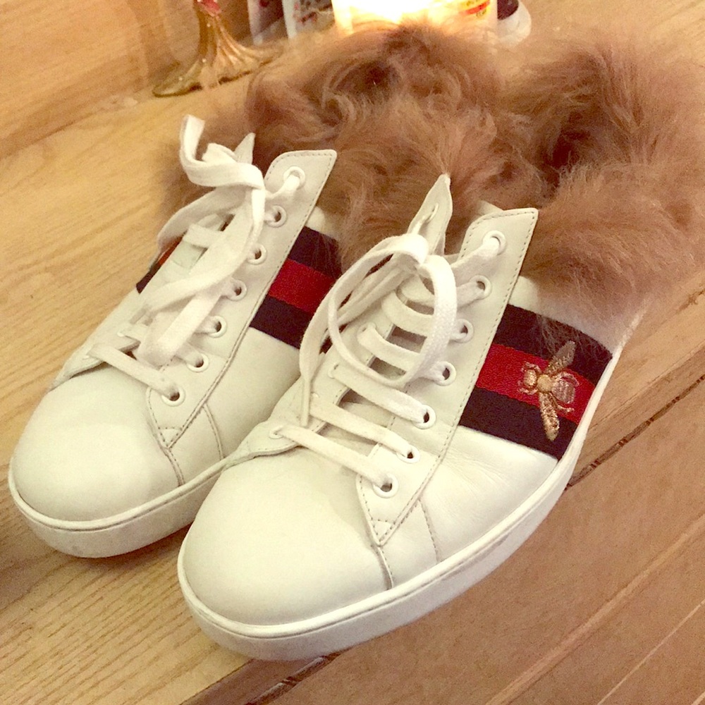 Sale!!! Authentic Gucci Ace Sneaker with Wool